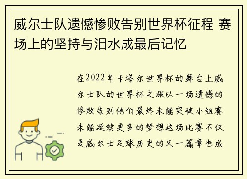 威尔士队遗憾惨败告别世界杯征程 赛场上的坚持与泪水成最后记忆