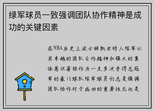 绿军球员一致强调团队协作精神是成功的关键因素
