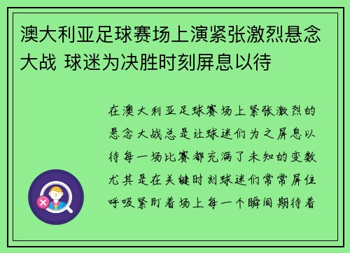 澳大利亚足球赛场上演紧张激烈悬念大战 球迷为决胜时刻屏息以待
